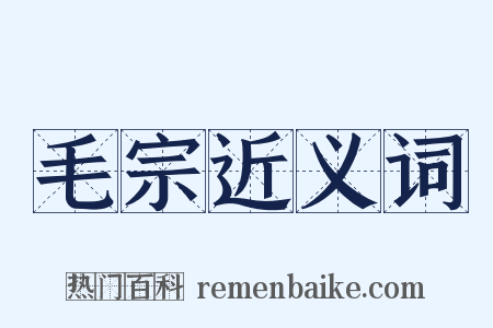 毛宗近义词是什么意思的图片